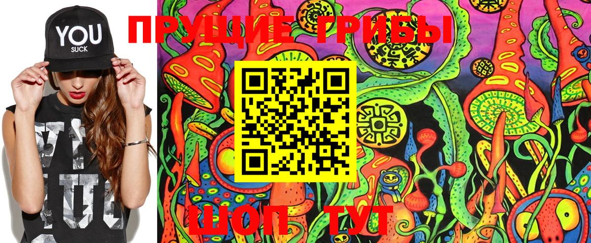 как найти наркотики  Галлюциногенные грибы Magic Shrooms  Вход с VPN  Баксан 